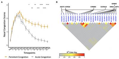 Cholinergic Synapse Pathway Gene Polymorphisms Associated With Late-Phase Responses in Allergic Rhinitis